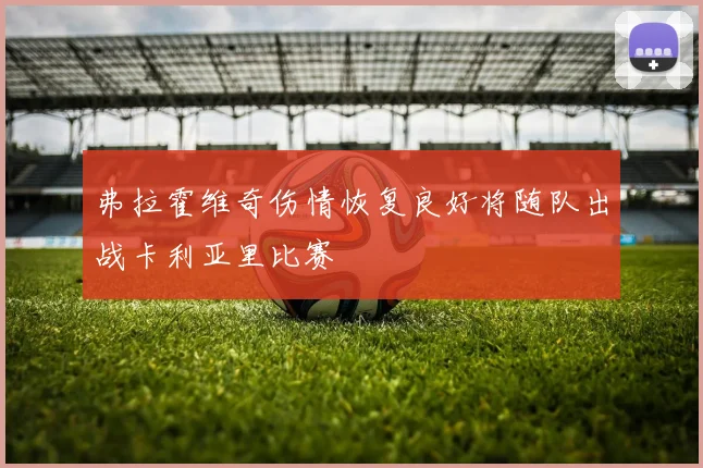 弗拉霍维奇伤情恢复良好将随队出战卡利亚里比赛