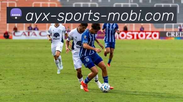 App Interface Preview