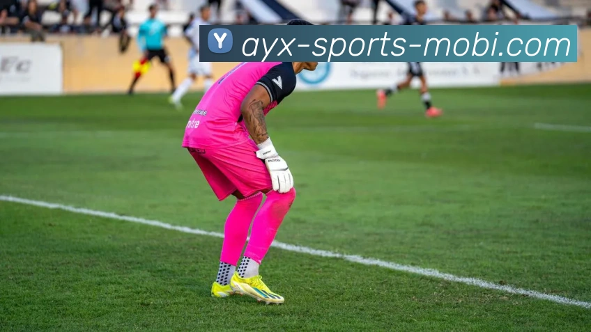 爱游戏APP 封面图